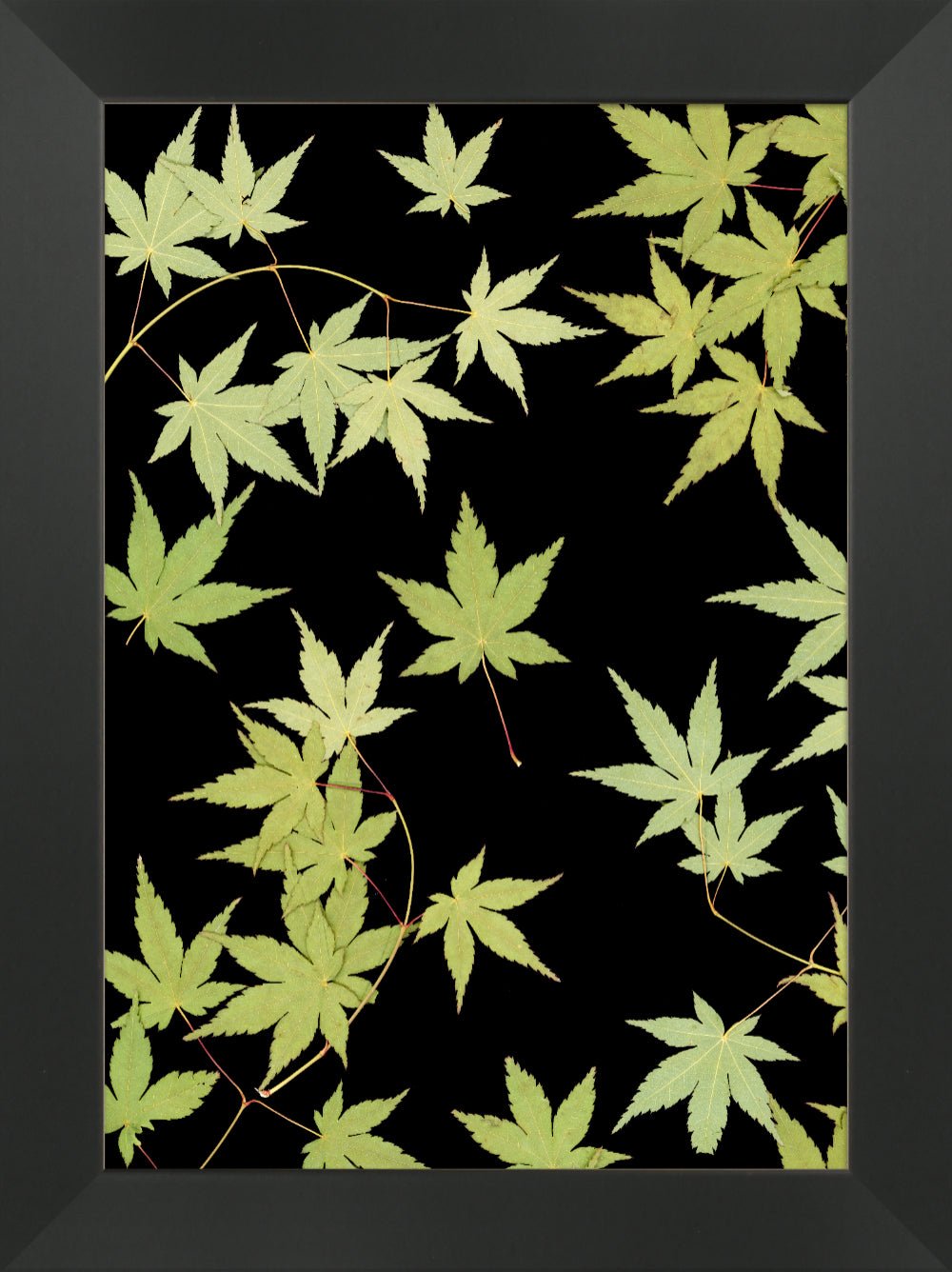 "Kitsune" Fine Art Print - Oldleafdesigns