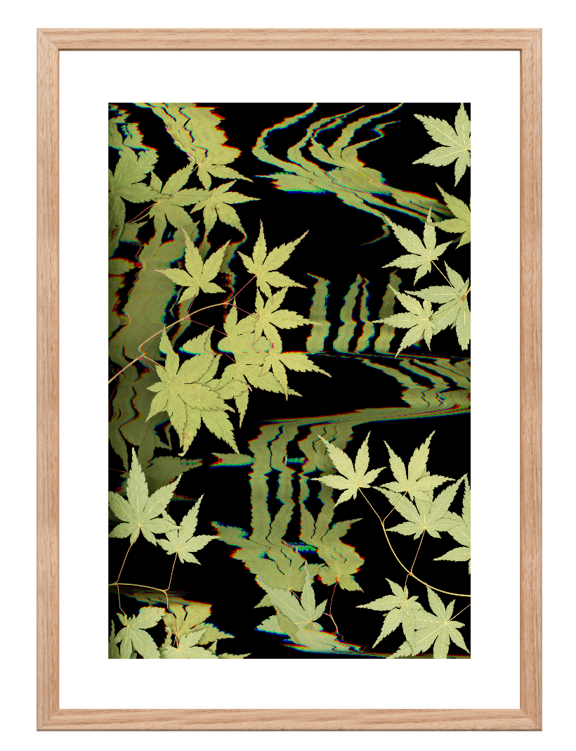 "Kyoto" Open Edition Print - Oldleafdesigns