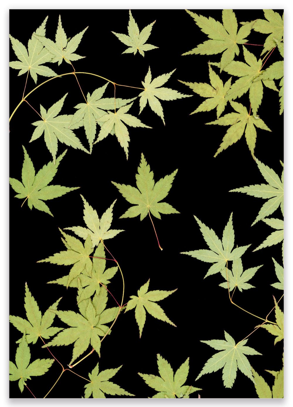 "Kitsune" Open Edition Print - Oldleafdesigns