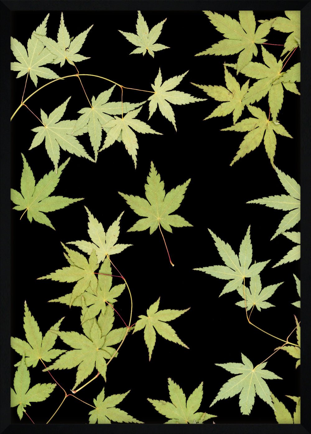 "Kitsune" Open Edition Print - Oldleafdesigns