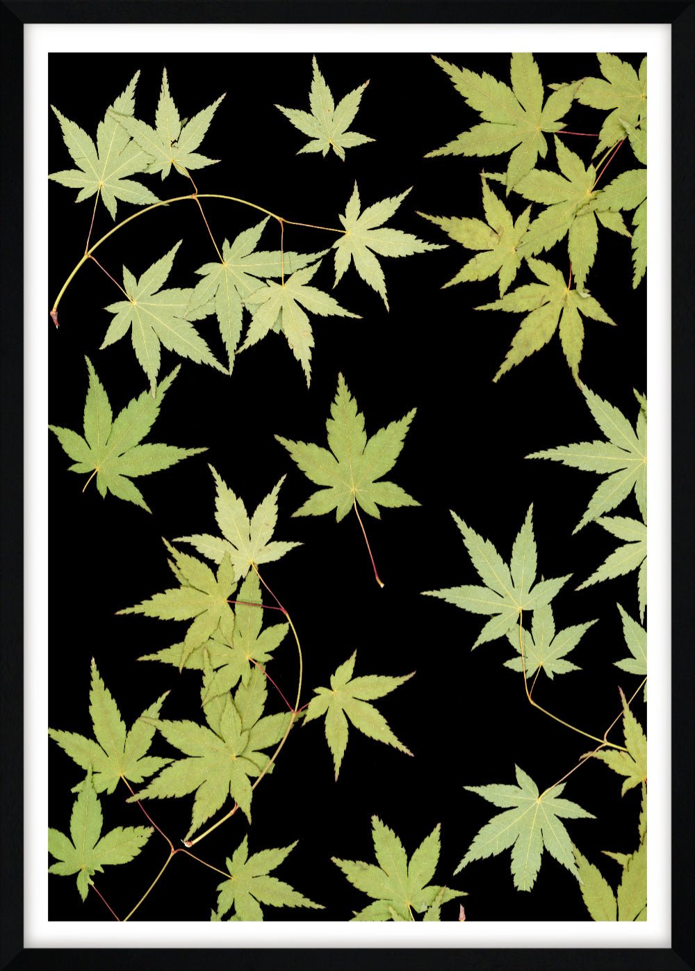 "Kitsune" Open Edition Print - Oldleafdesigns