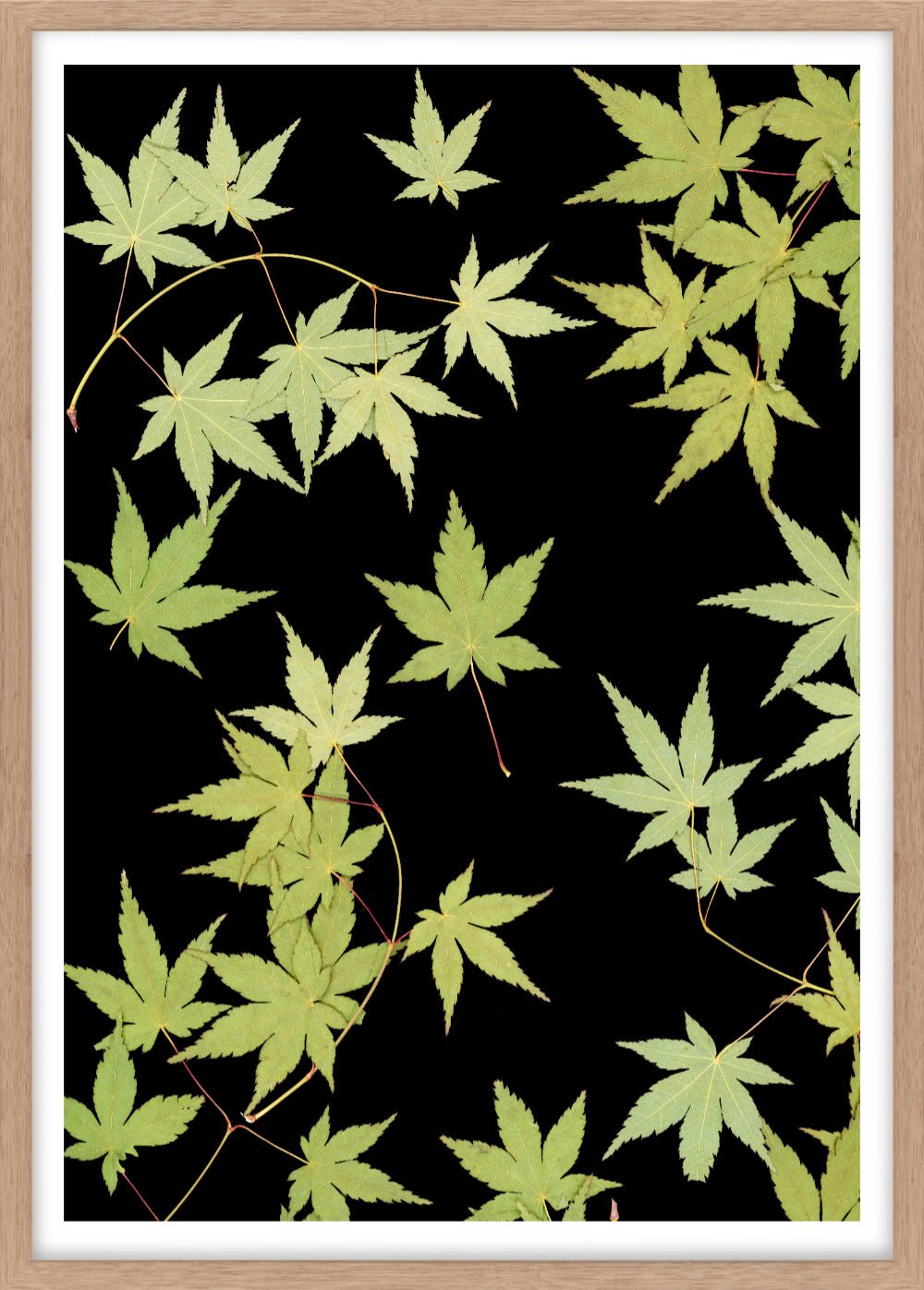 "Kitsune" Open Edition Print - Oldleafdesigns