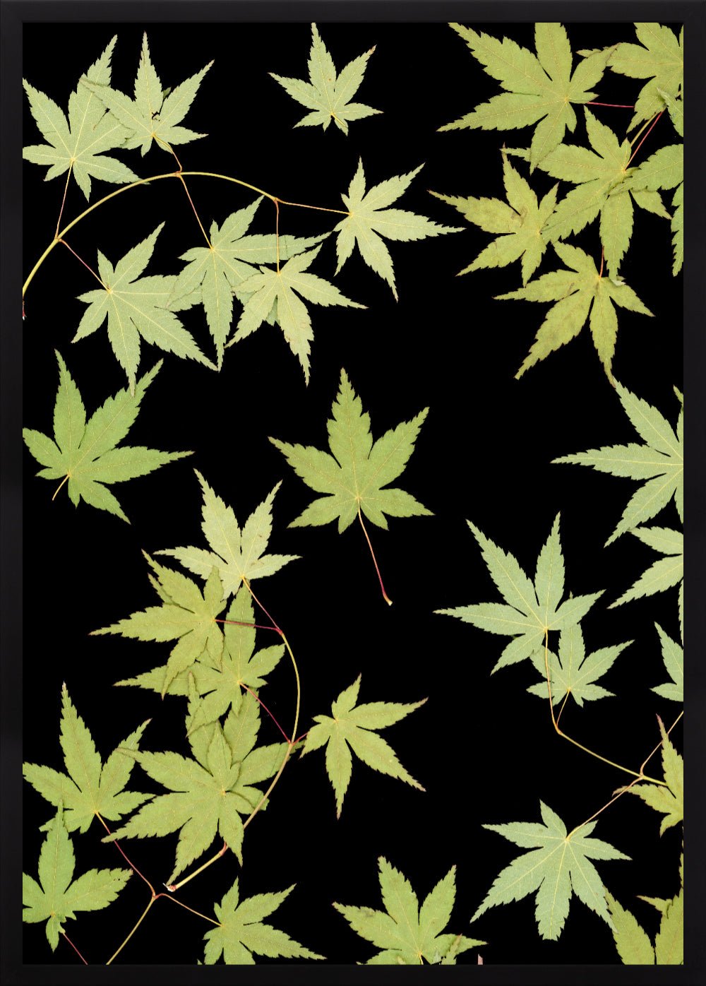 "Kitsune" Open Edition Print - Oldleafdesigns