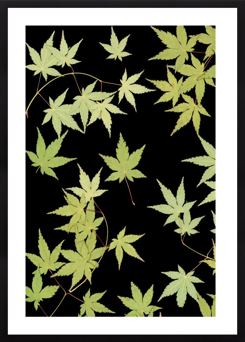 "Kitsune" Open Edition Print - Oldleafdesigns