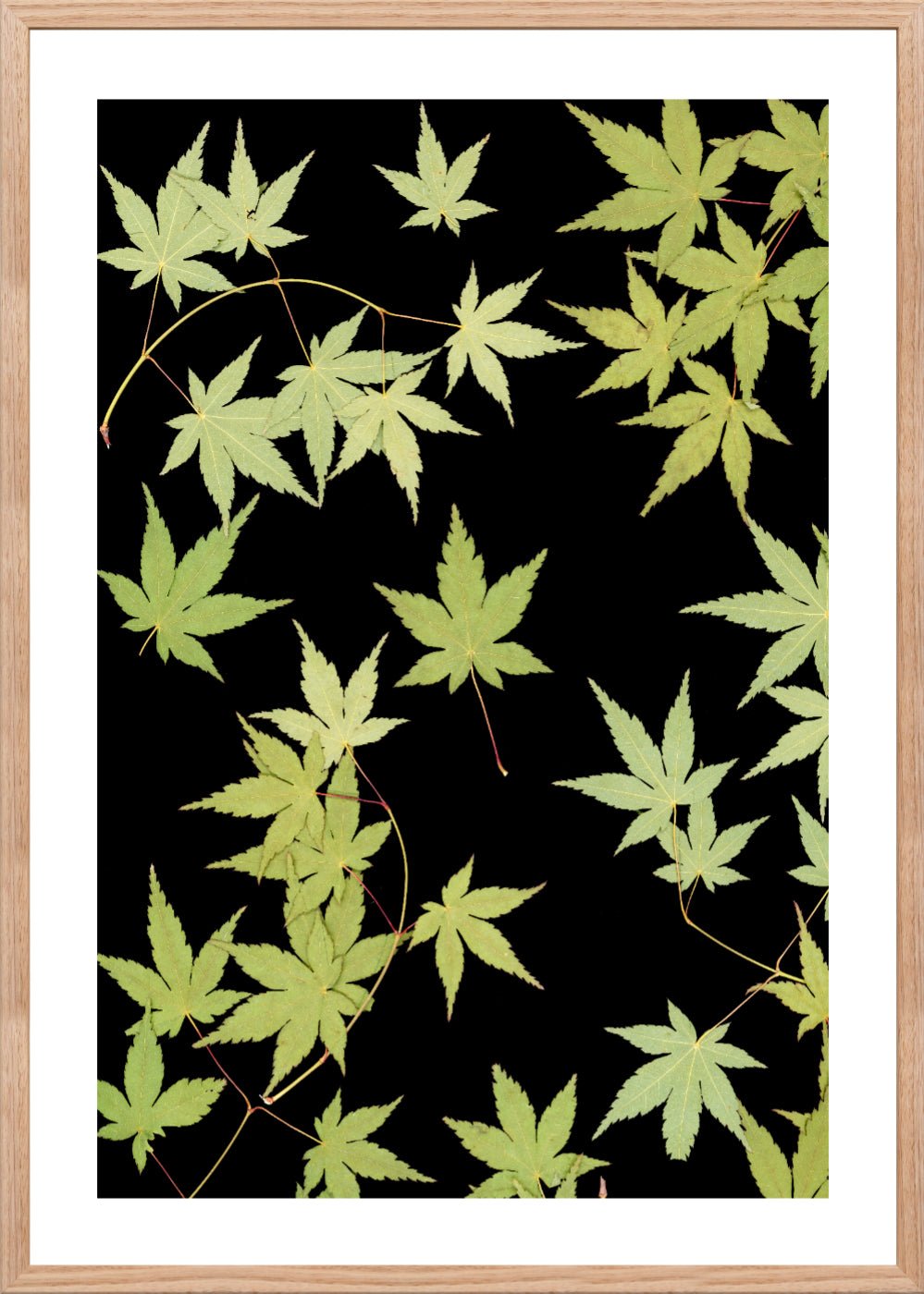 "Kitsune" Open Edition Print - Oldleafdesigns