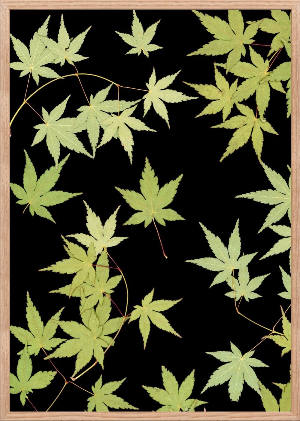 "Kitsune" Open Edition Print - Oldleafdesigns