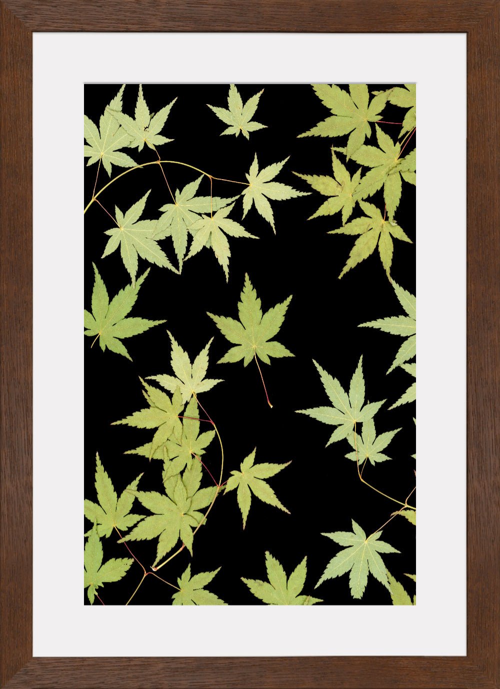 "Kitsune" Fine Art Print - Oldleafdesigns