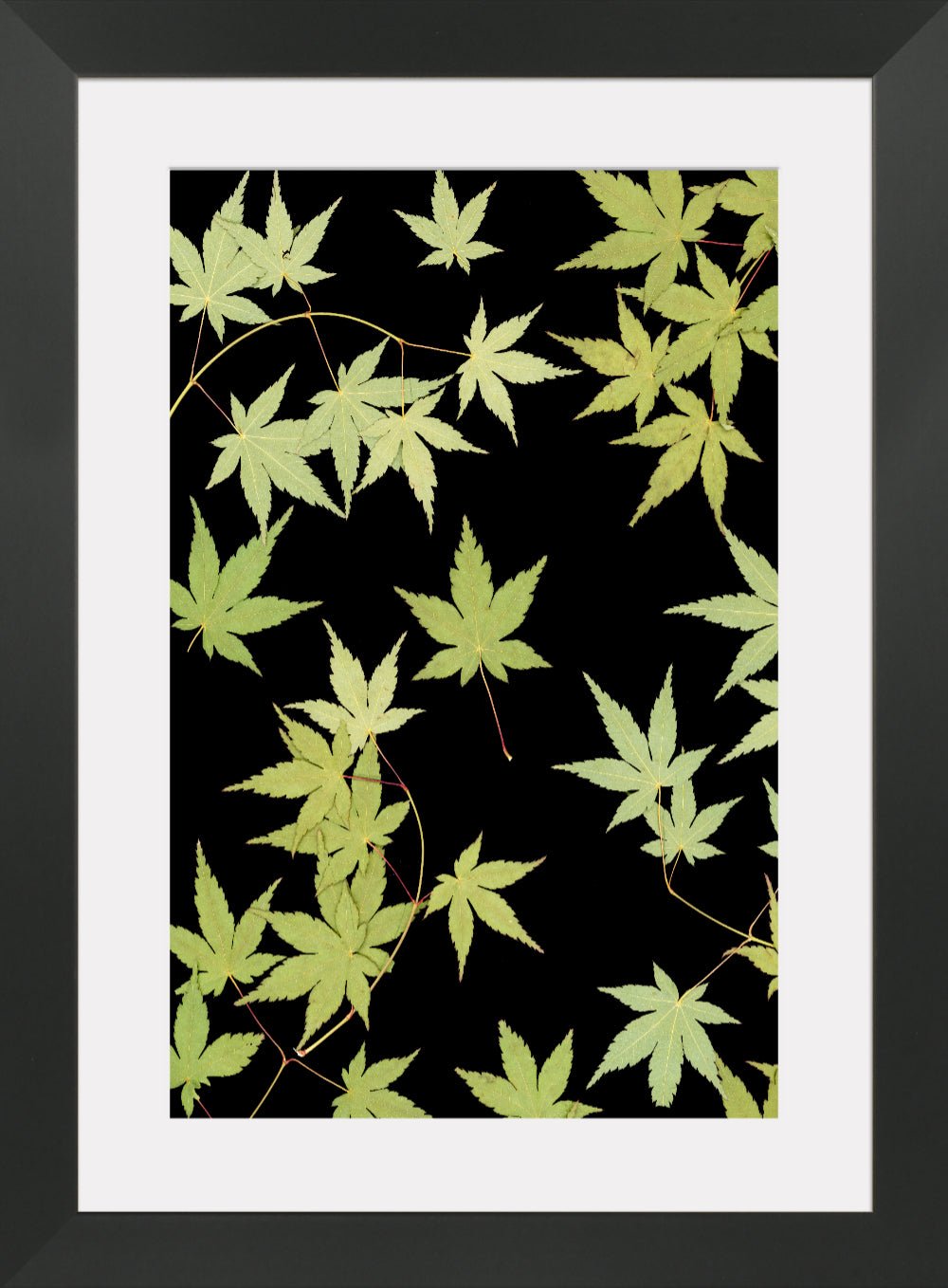 "Kitsune" Fine Art Print - Oldleafdesigns