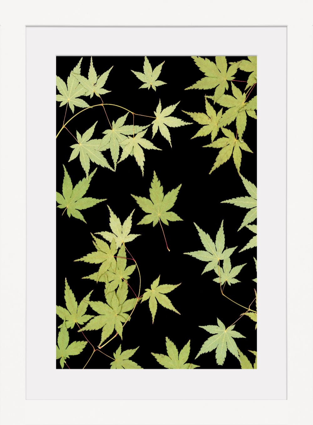 "Kitsune" Fine Art Print - Oldleafdesigns