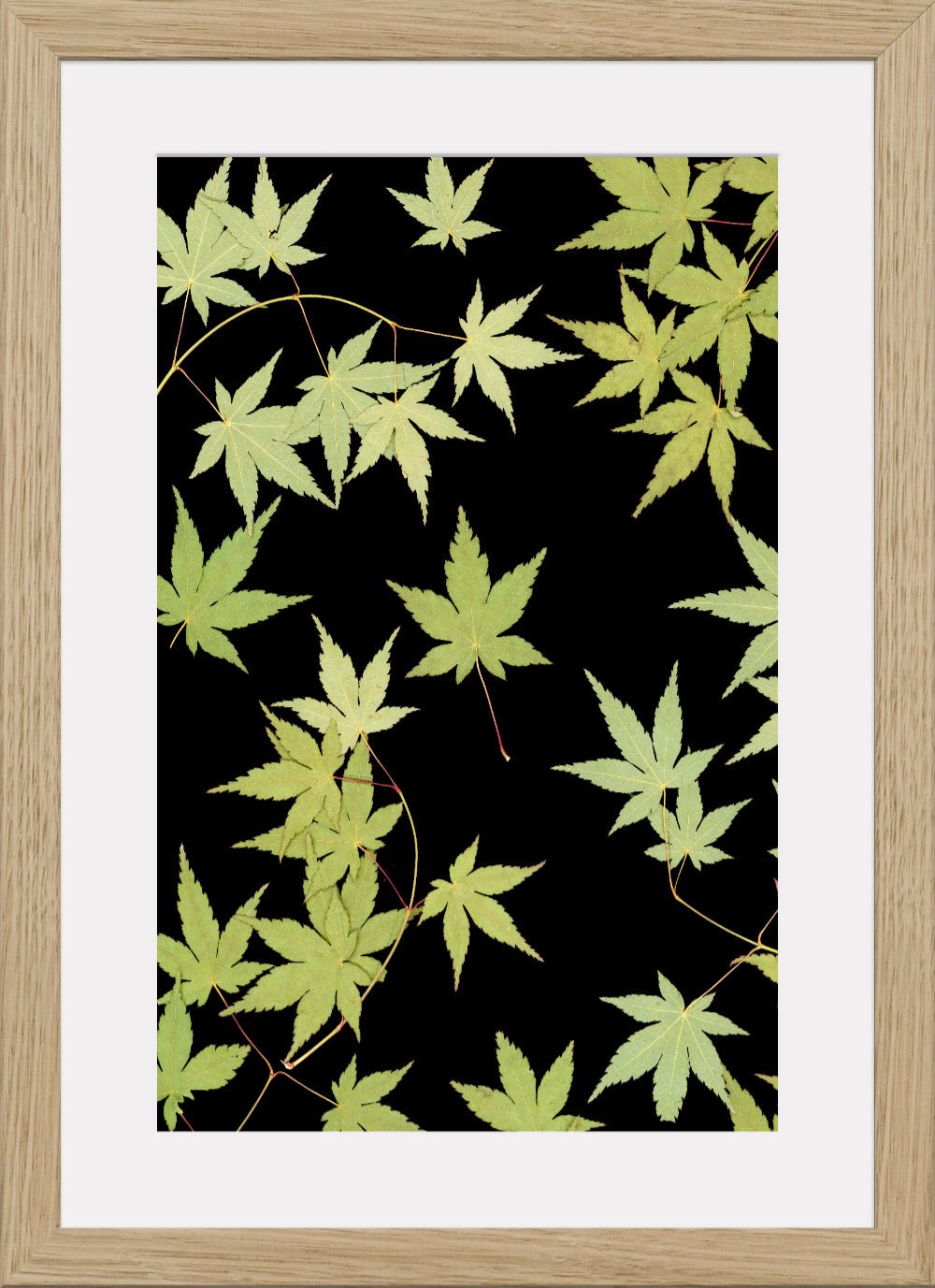 "Kitsune" Fine Art Print - Oldleafdesigns