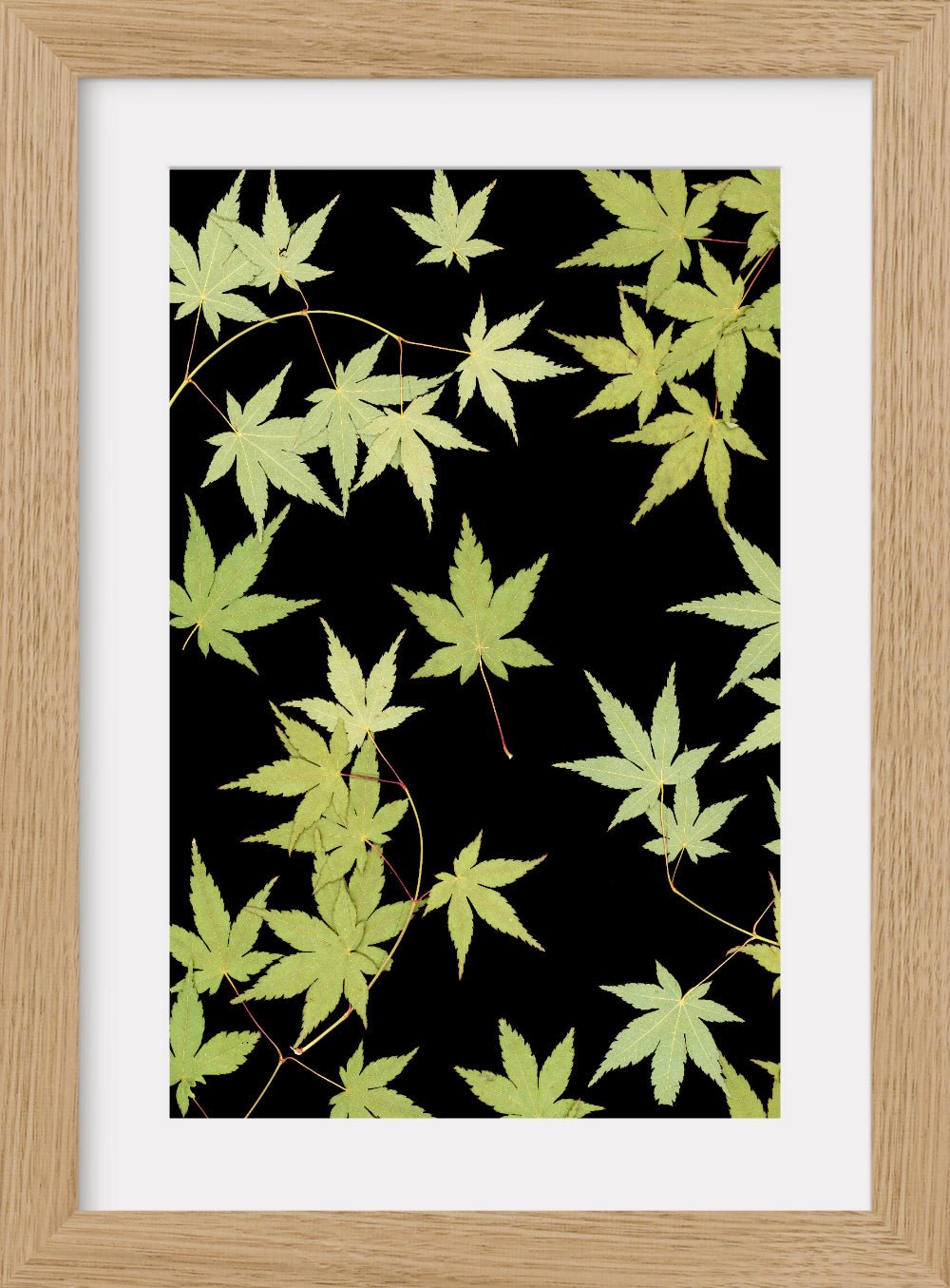 "Kitsune" Fine Art Print - Oldleafdesigns