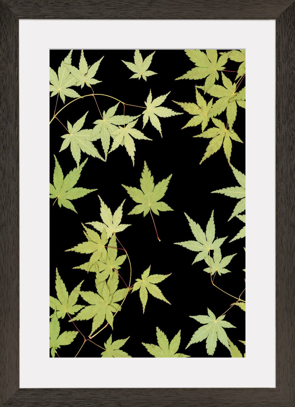 "Kitsune" Fine Art Print - Oldleafdesigns