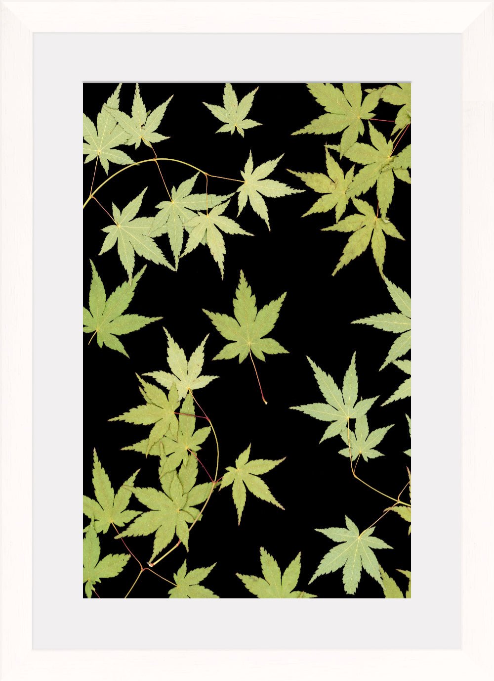 "Kitsune" Fine Art Print - Oldleafdesigns