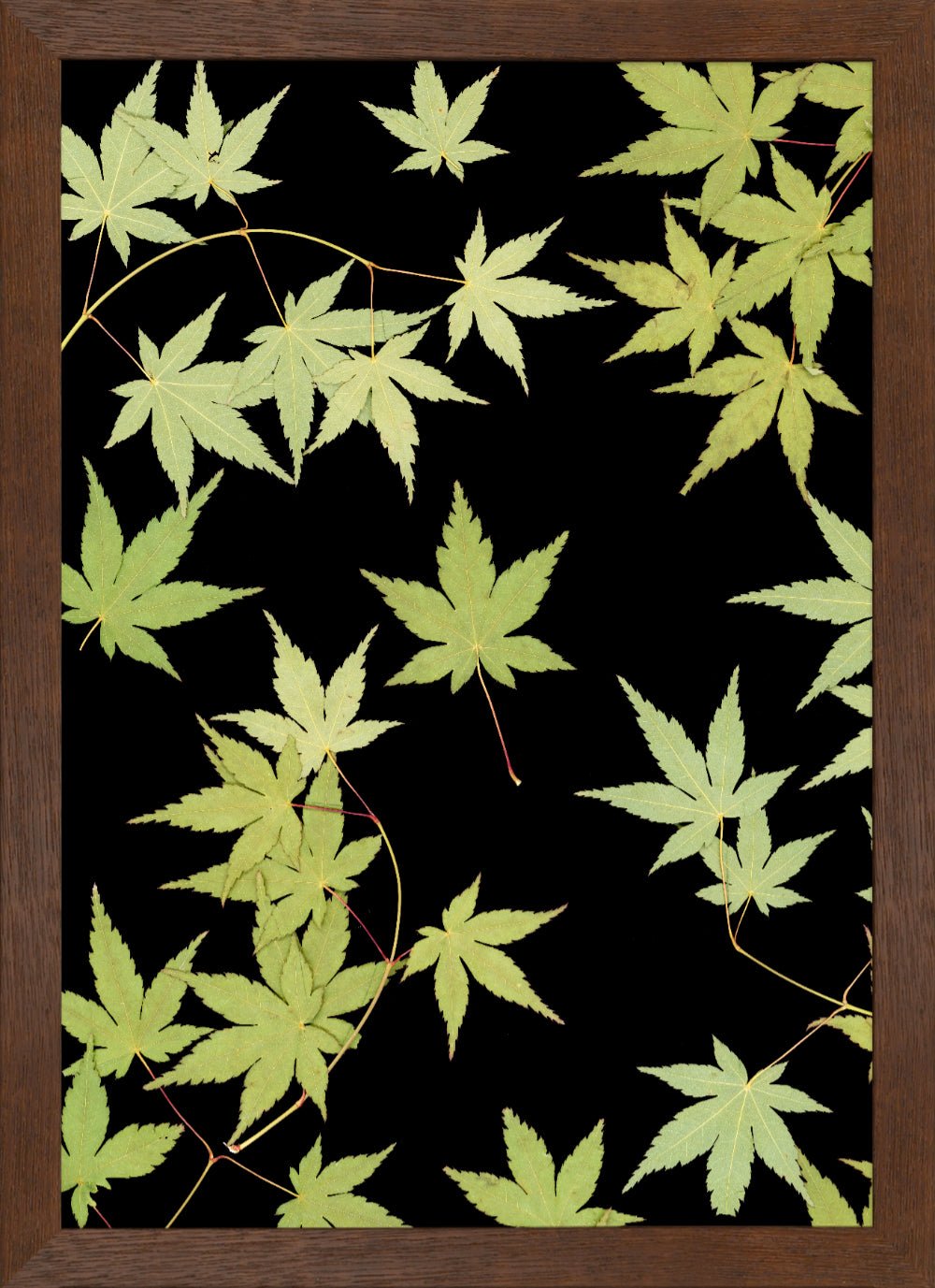 "Kitsune" Fine Art Print - Oldleafdesigns