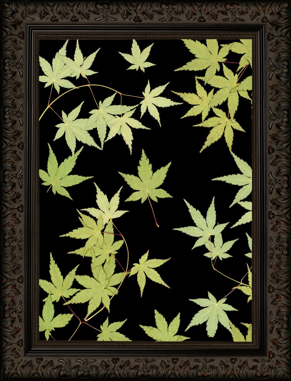 "Kitsune" Fine Art Print - Oldleafdesigns