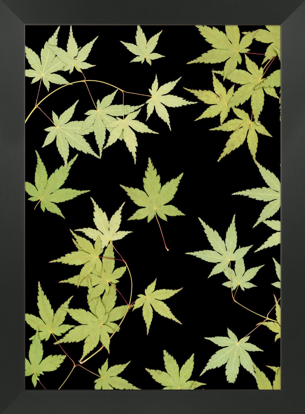 "Kitsune" Fine Art Print - Oldleafdesigns