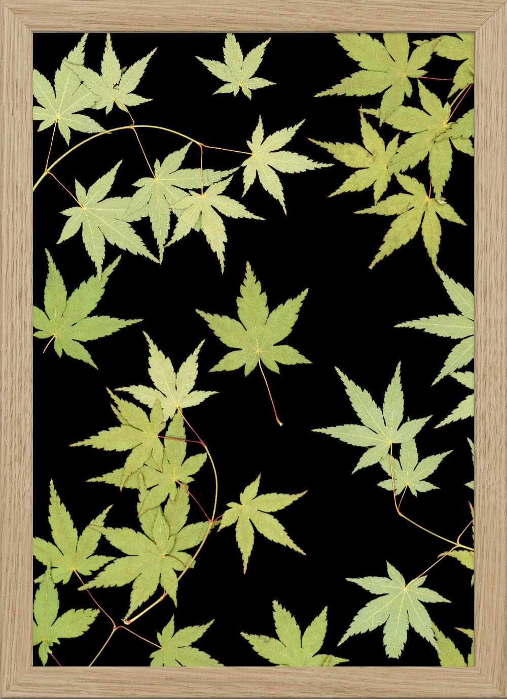 "Kitsune" Fine Art Print - Oldleafdesigns