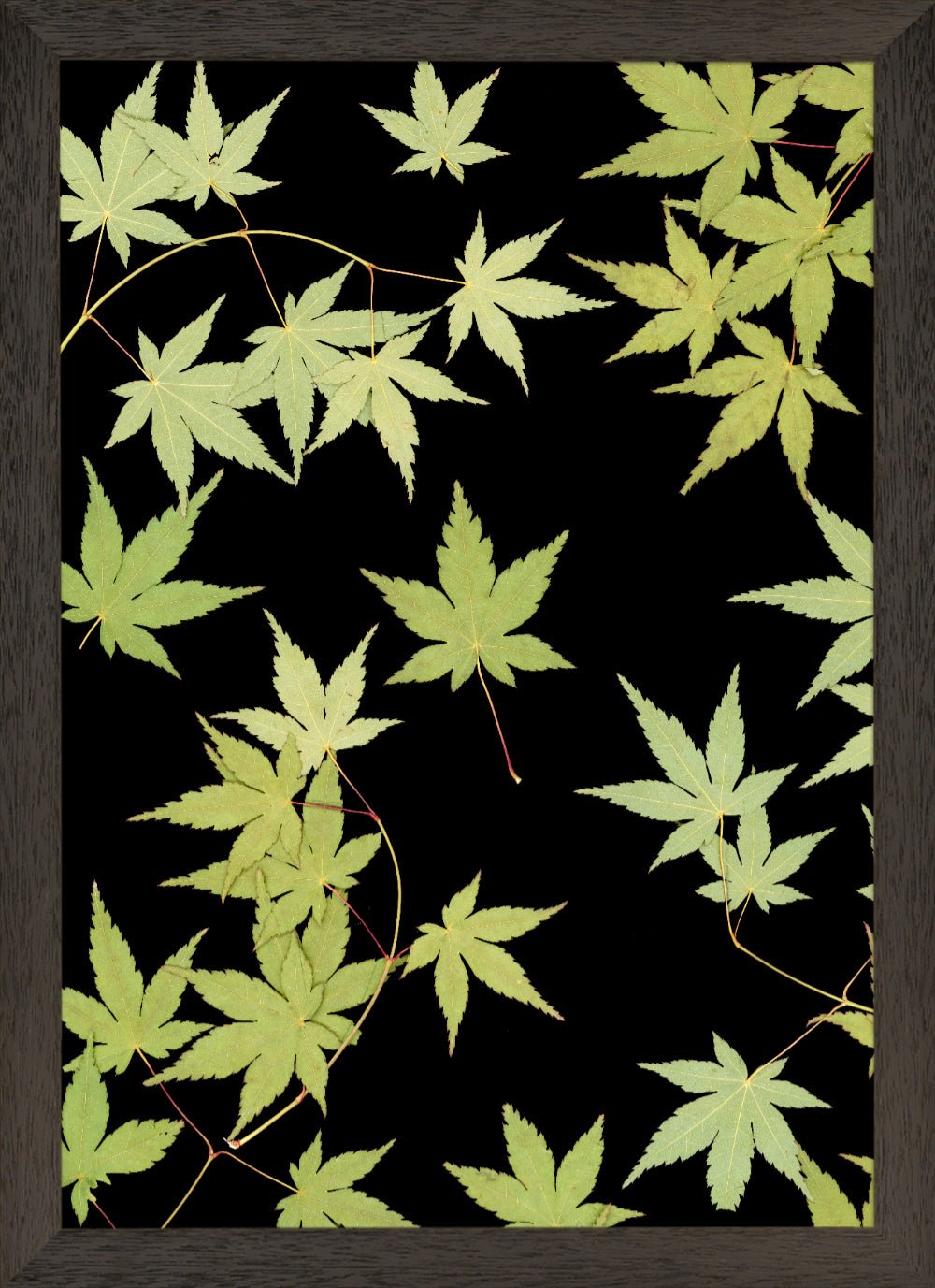 "Kitsune" Fine Art Print - Oldleafdesigns