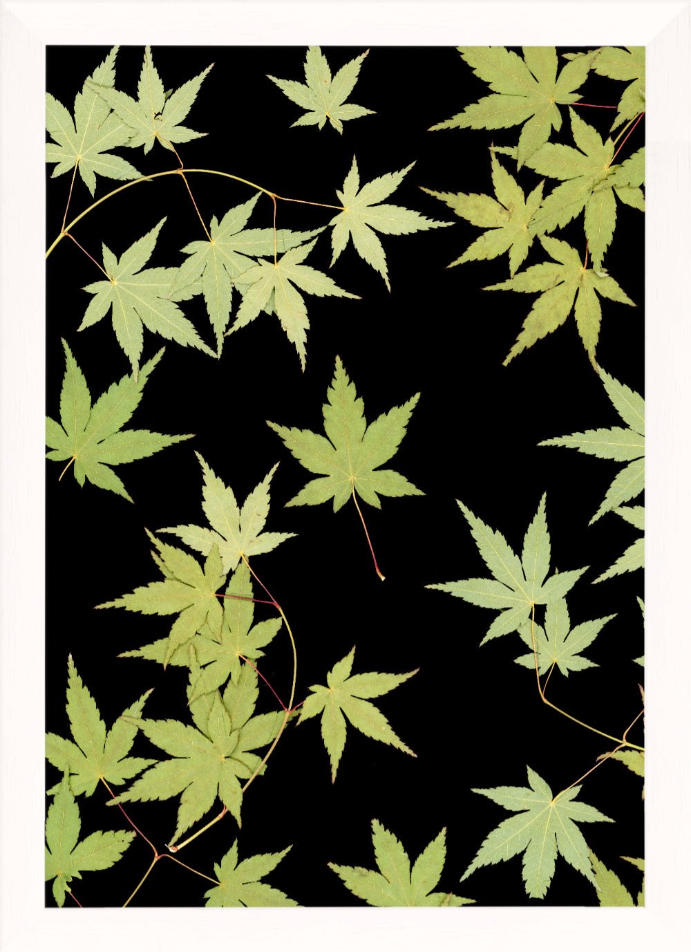 "Kitsune" Fine Art Print - Oldleafdesigns