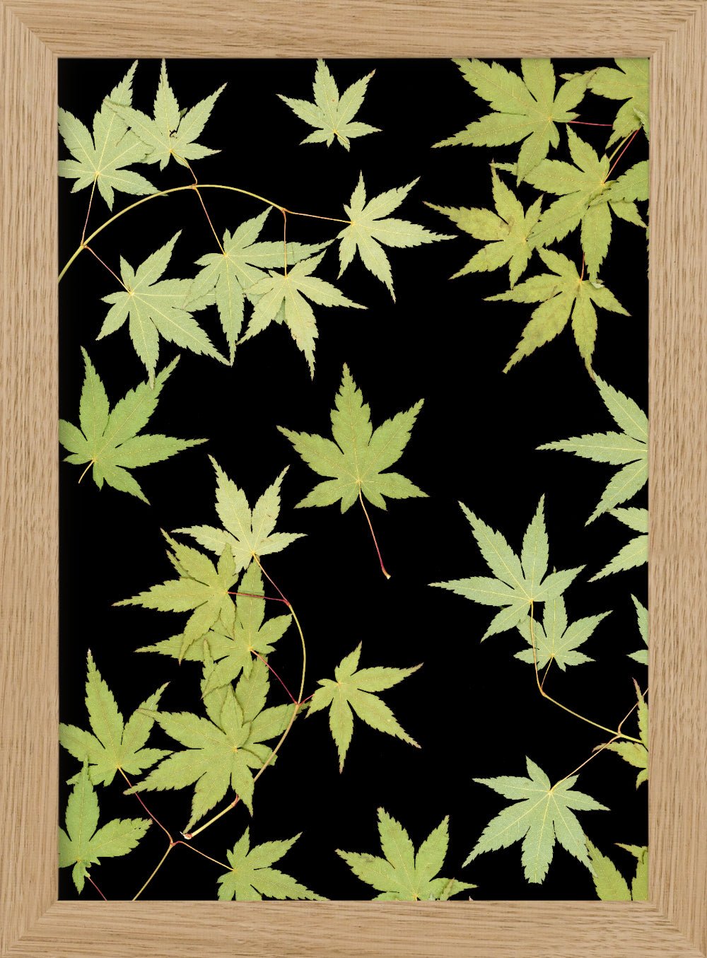 "Kitsune" Fine Art Print - Oldleafdesigns