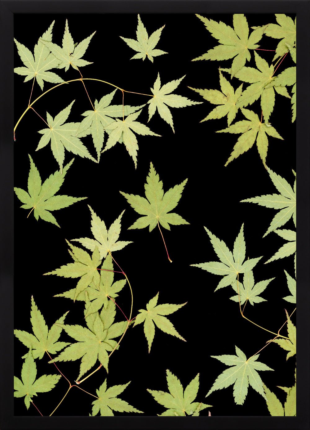 "Kitsune" Open Edition Print - Oldleafdesigns