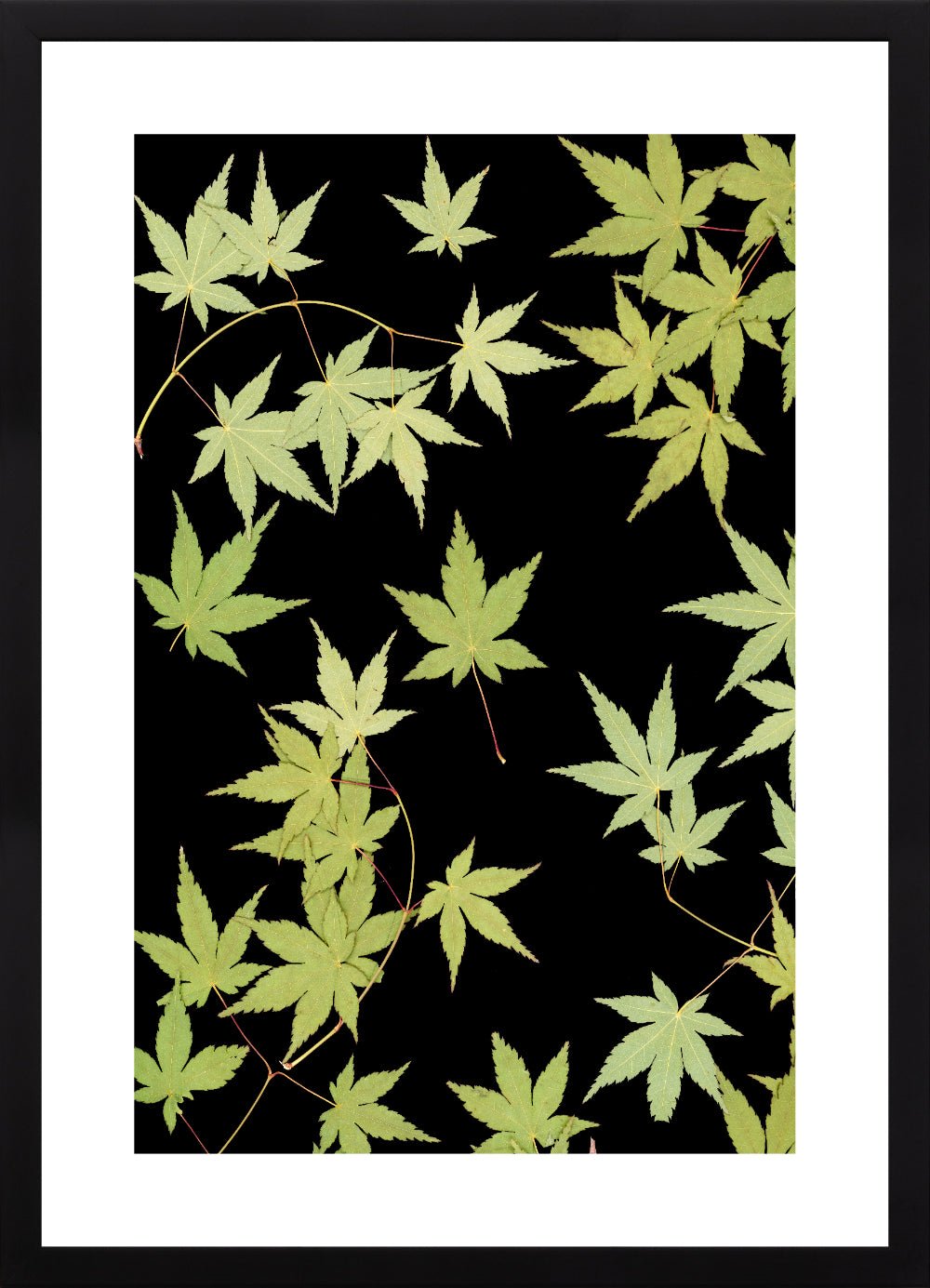 "Kitsune" Open Edition Print - Oldleafdesigns