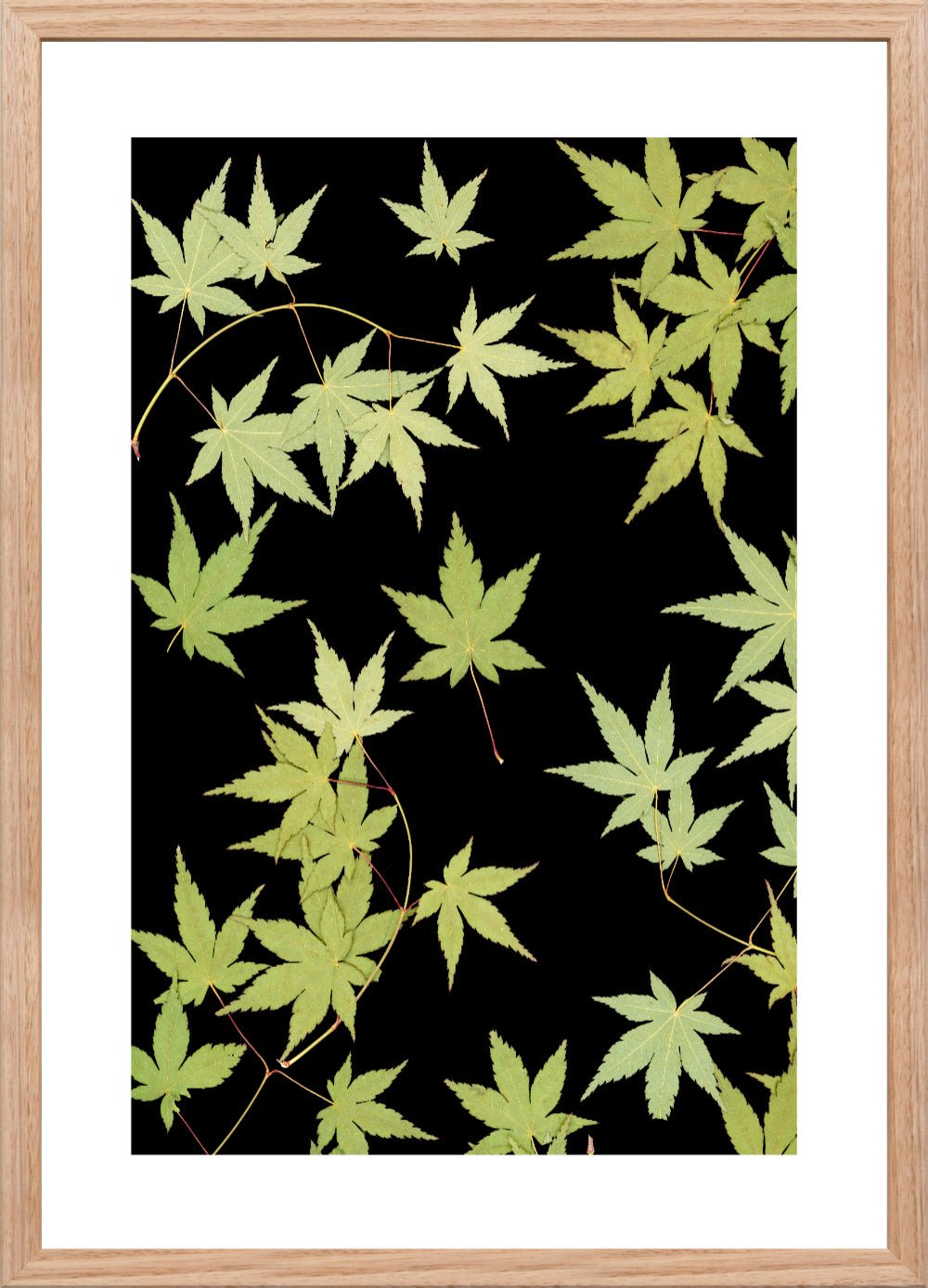 "Kitsune" Open Edition Print - Oldleafdesigns