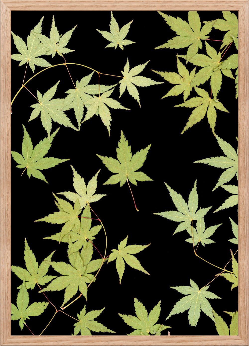 "Kitsune" Open Edition Print - Oldleafdesigns