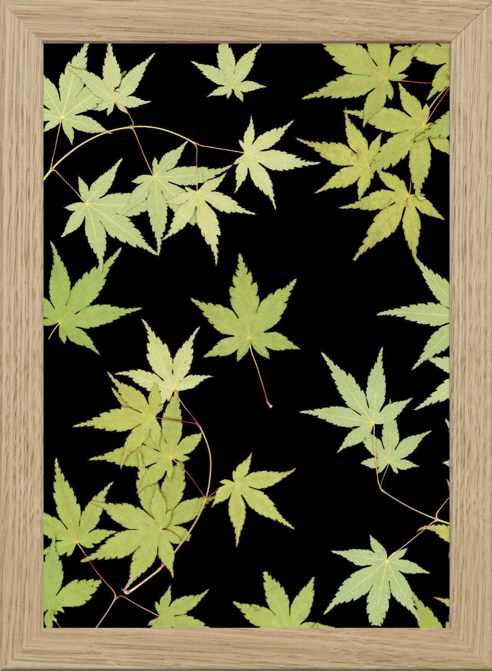 "Kitsune" Fine Art Print - Oldleafdesigns