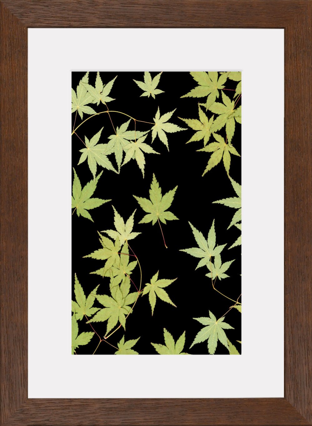 "Kitsune" Fine Art Print - Oldleafdesigns