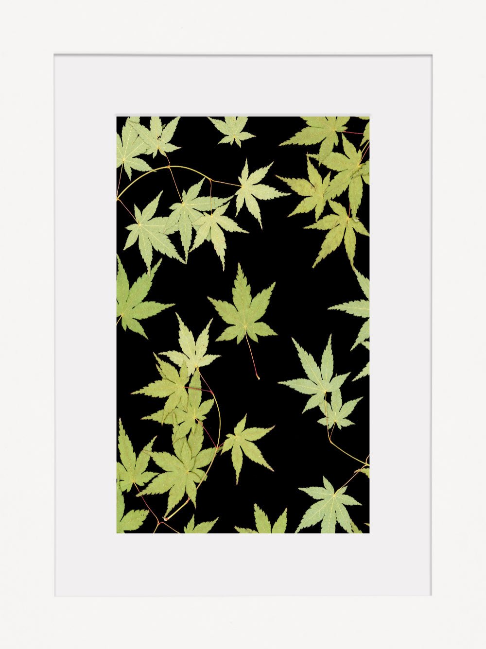 "Kitsune" Fine Art Print - Oldleafdesigns