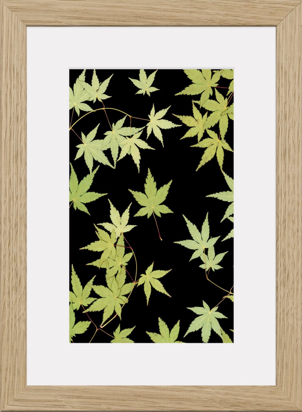 "Kitsune" Fine Art Print - Oldleafdesigns