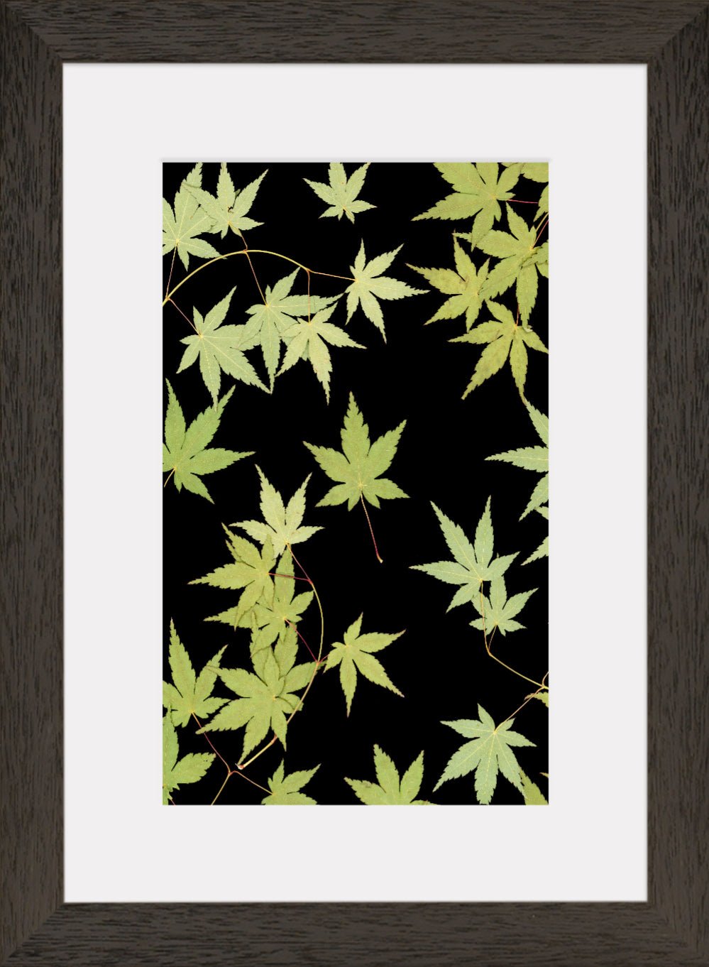 "Kitsune" Fine Art Print - Oldleafdesigns