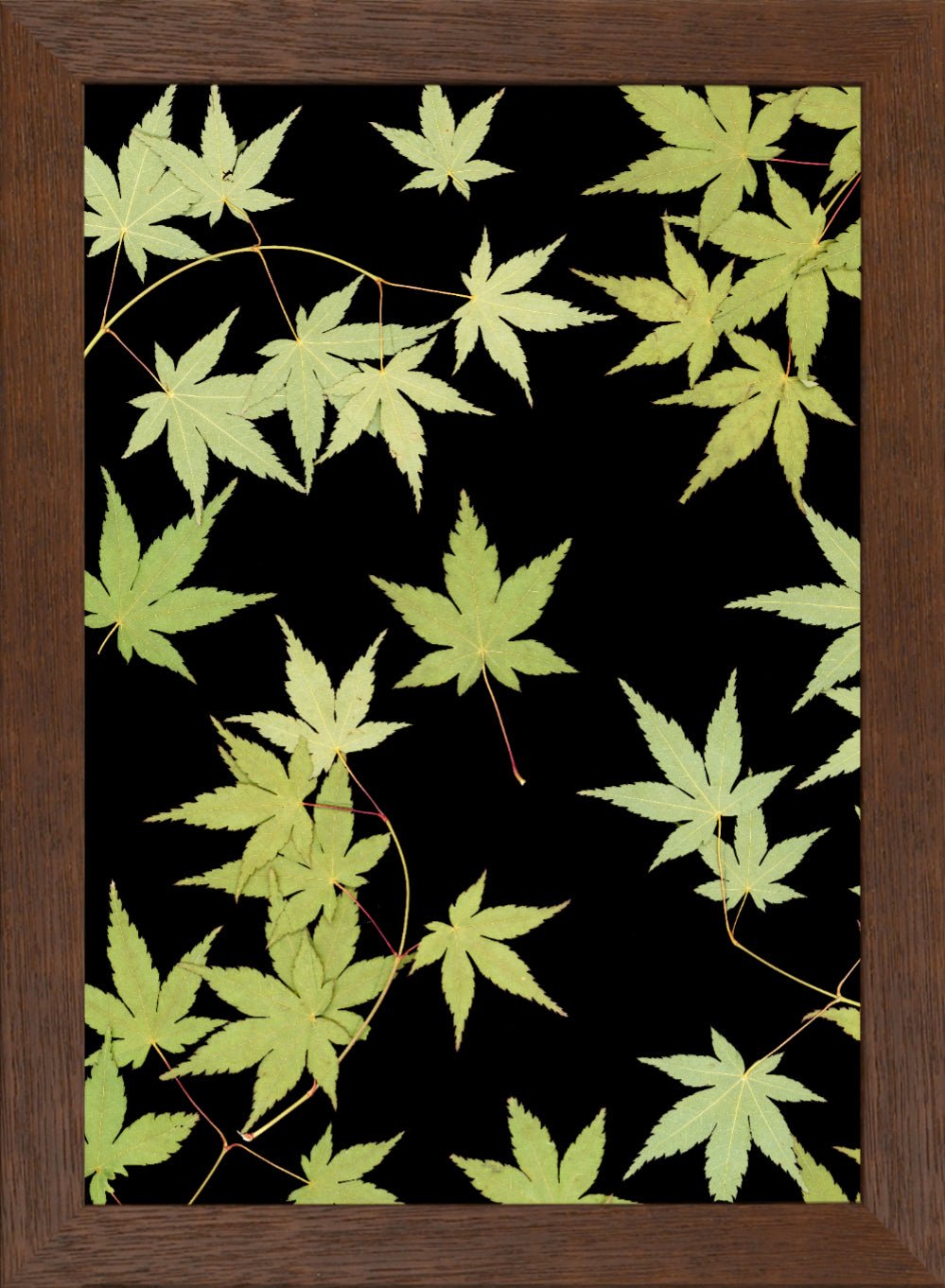 "Kitsune" Fine Art Print - Oldleafdesigns