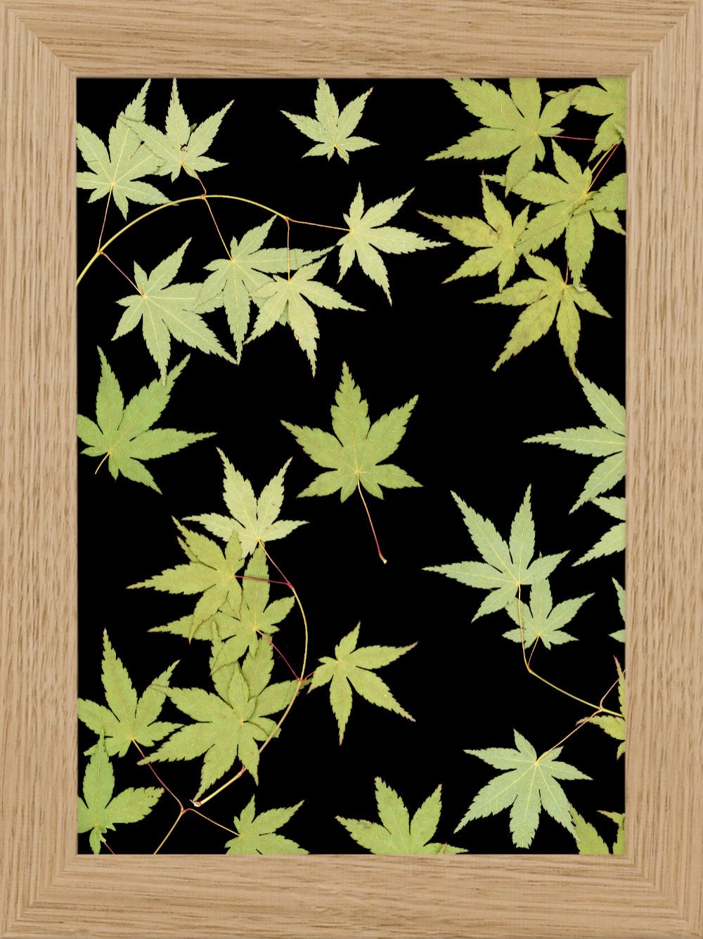 "Kitsune" Fine Art Print - Oldleafdesigns