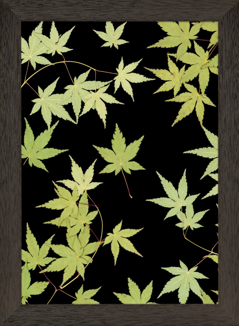 "Kitsune" Fine Art Print - Oldleafdesigns