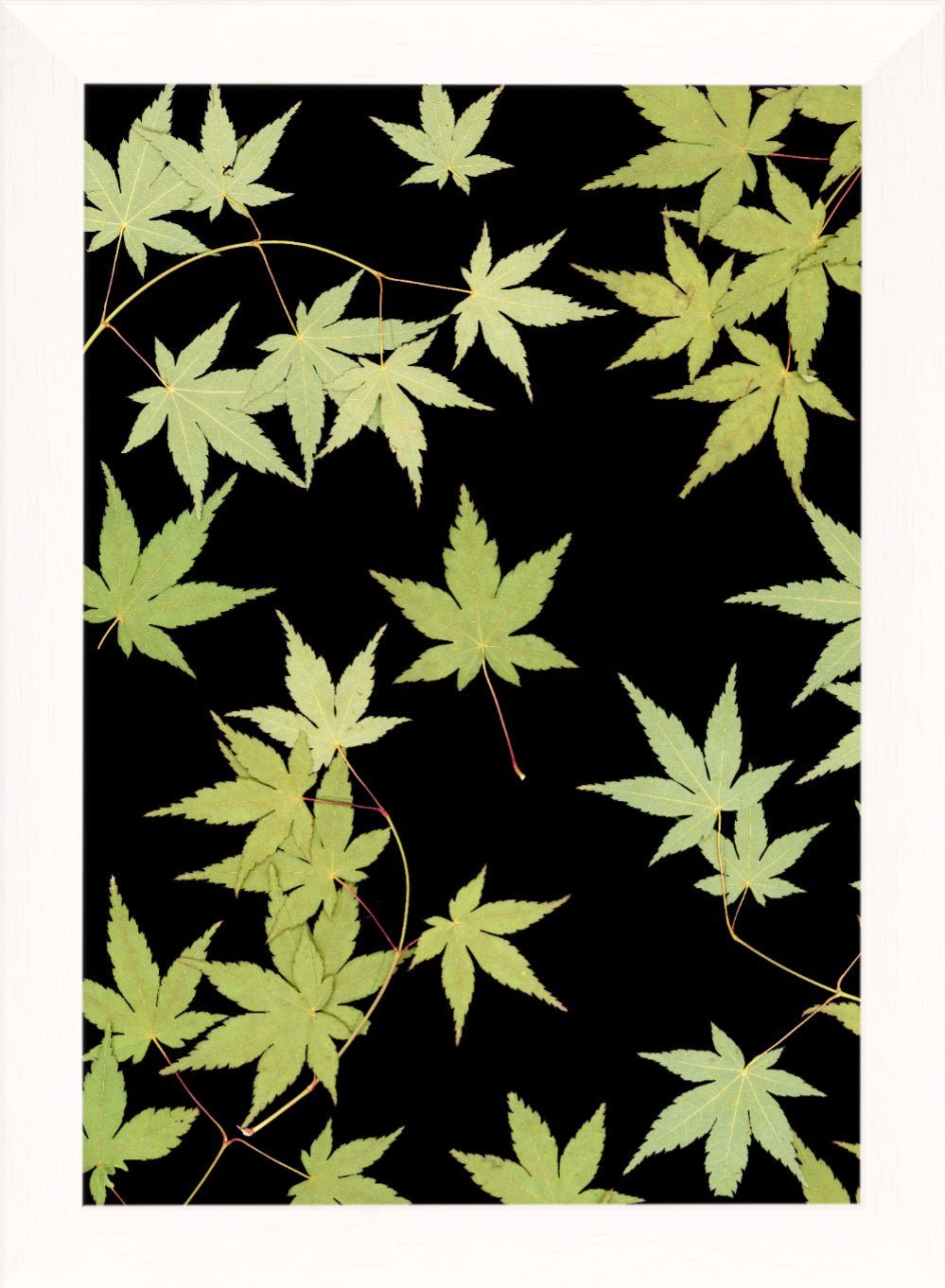 "Kitsune" Fine Art Print - Oldleafdesigns