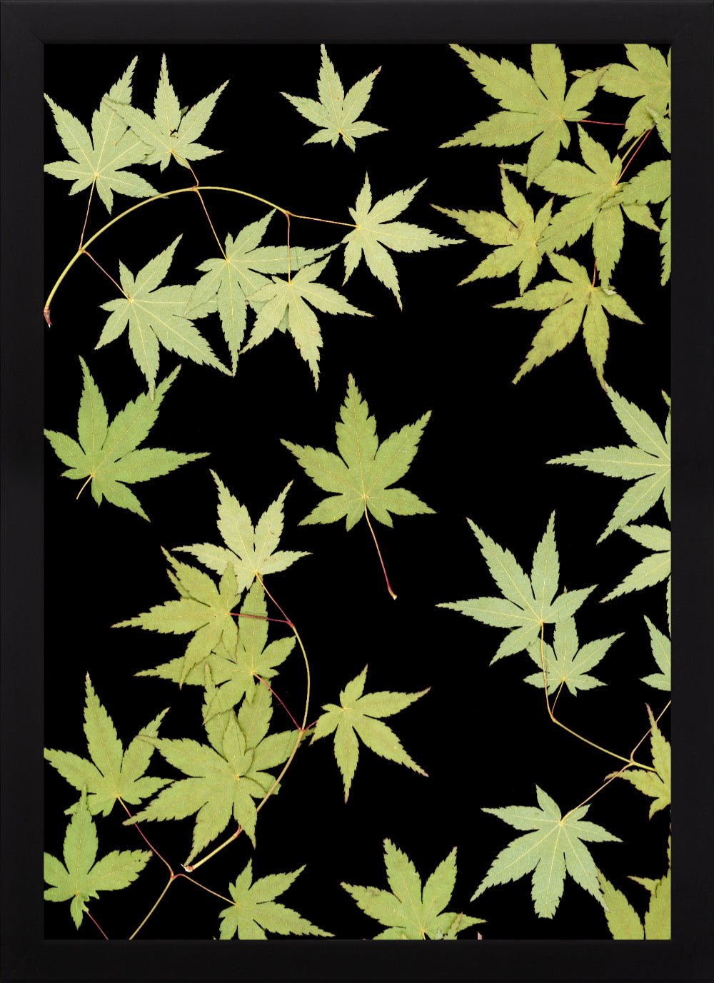 "Kitsune" Open Edition Print - Oldleafdesigns