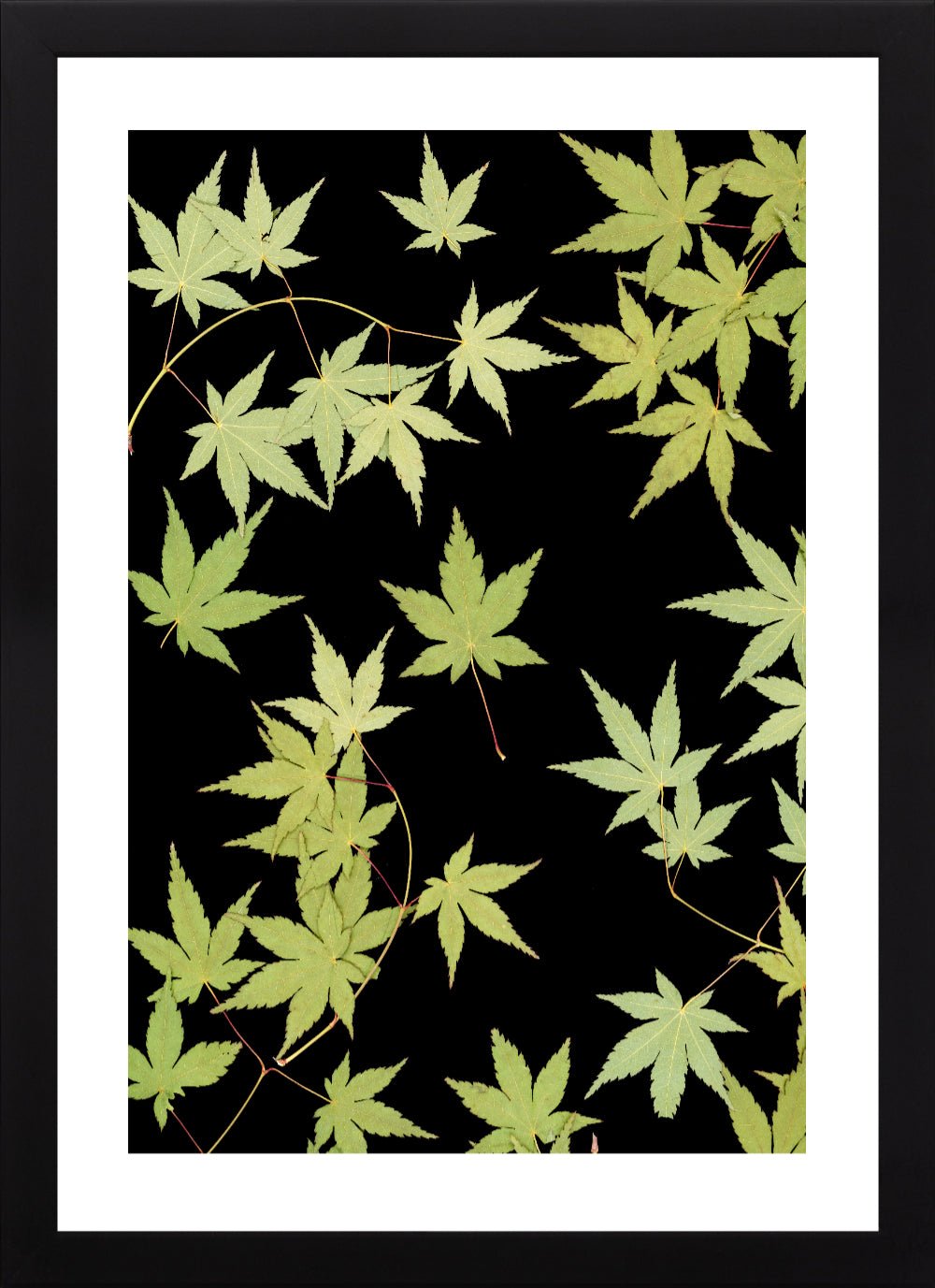 "Kitsune" Open Edition Print - Oldleafdesigns