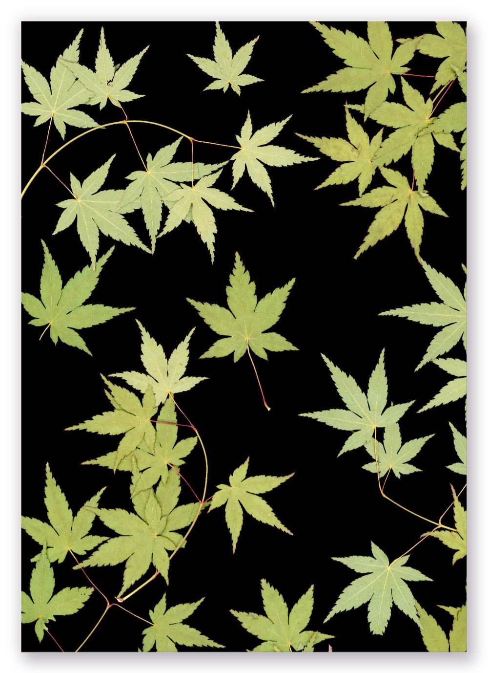 "Kitsune" Open Edition Print - Oldleafdesigns