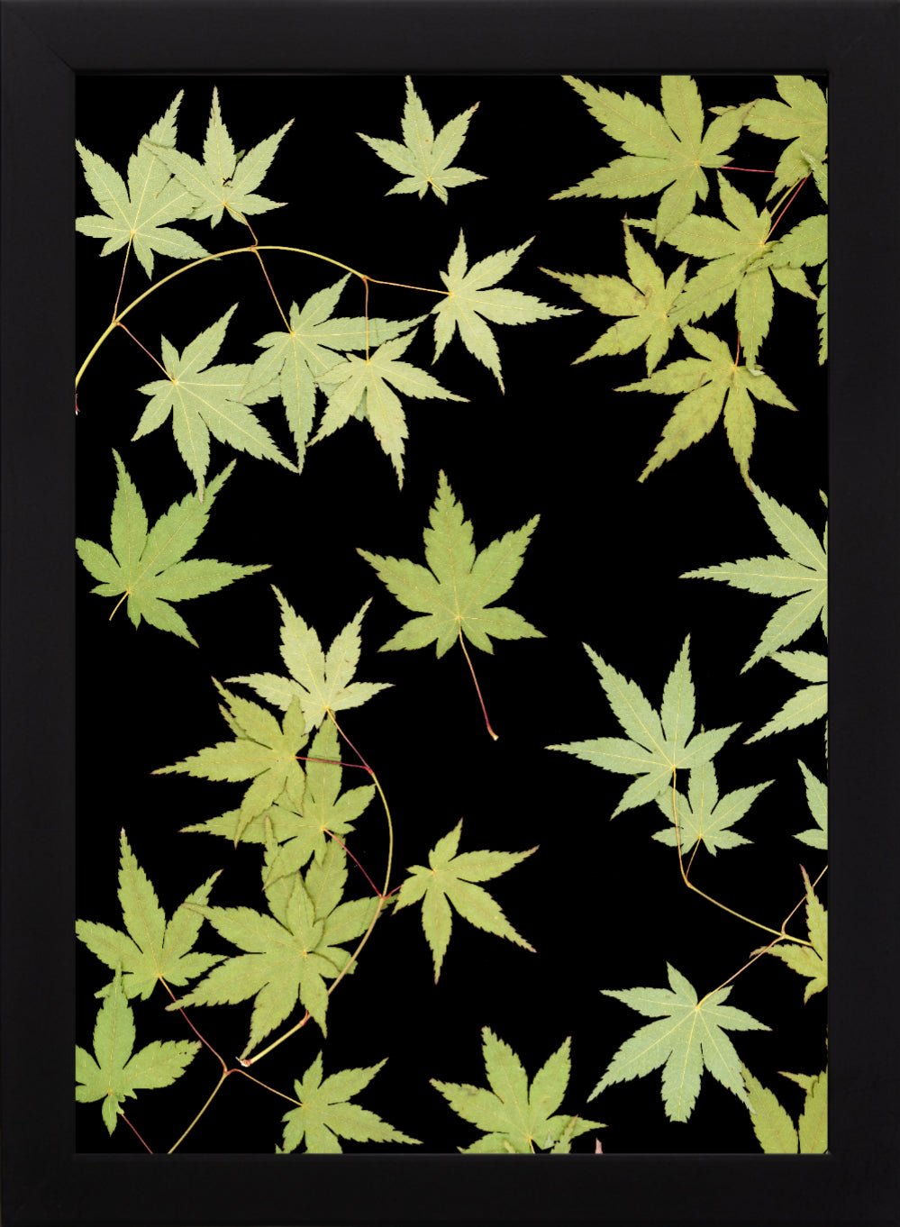 "Kitsune" Open Edition Print - Oldleafdesigns