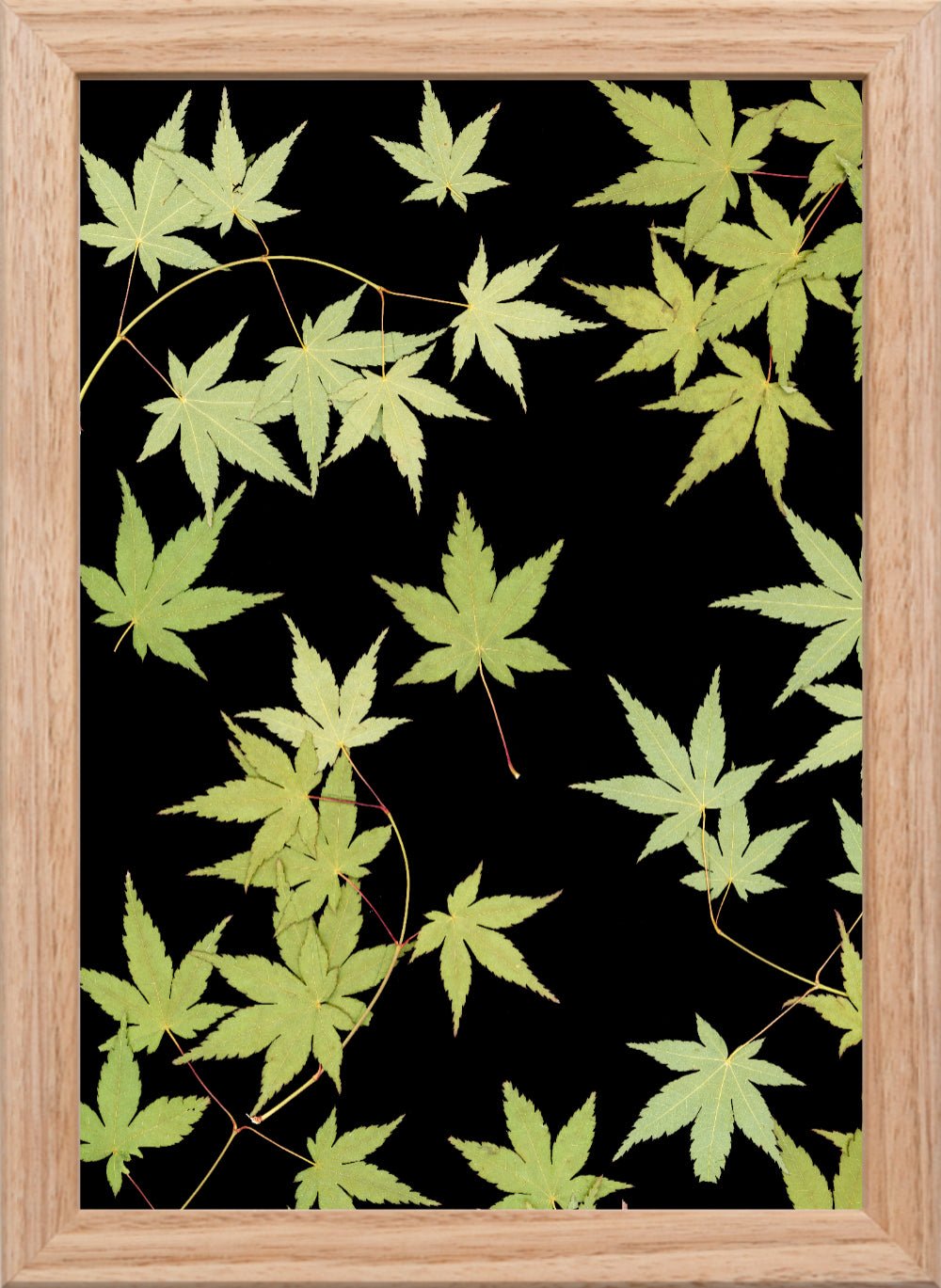 "Kitsune" Open Edition Print - Oldleafdesigns