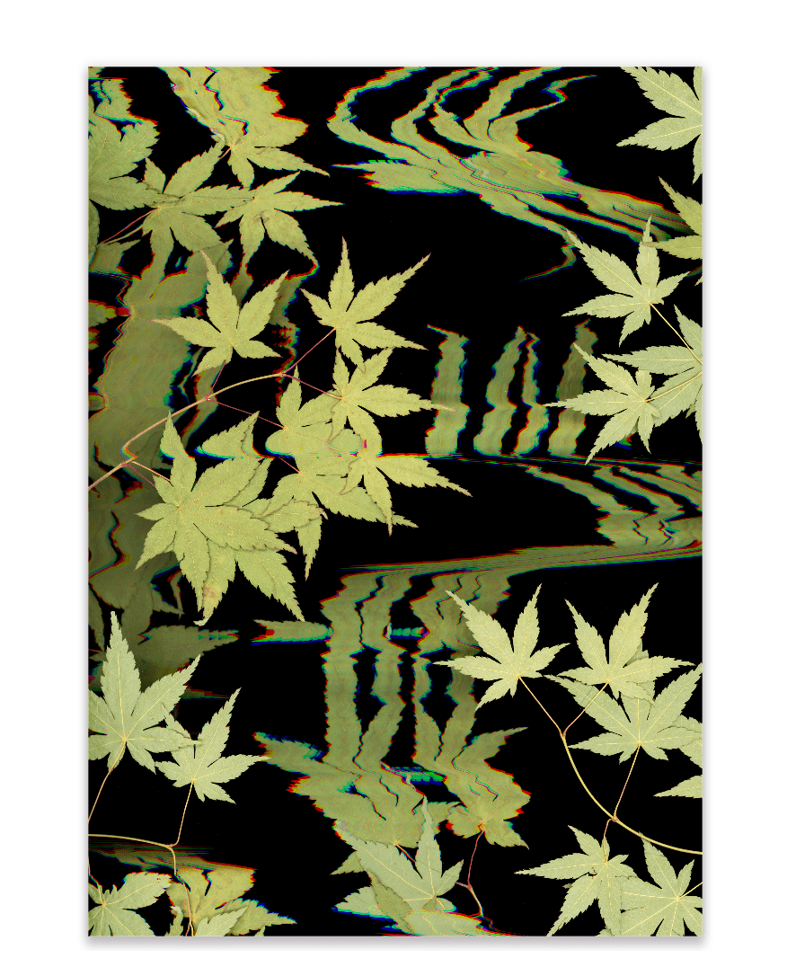 "Kyoto" Open Edition Print - Oldleafdesigns