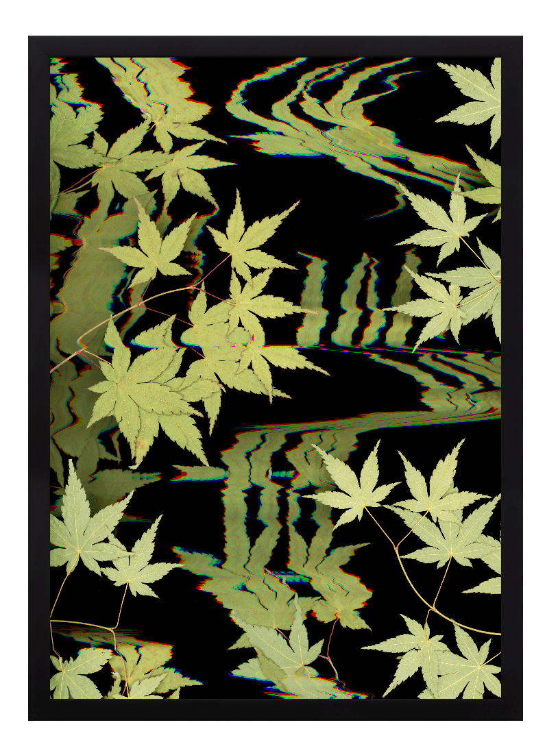 "Kyoto" Open Edition Print - Oldleafdesigns