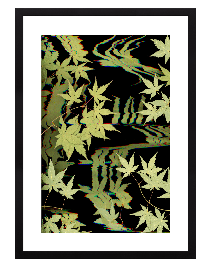 "Kyoto" Open Edition Print - Oldleafdesigns
