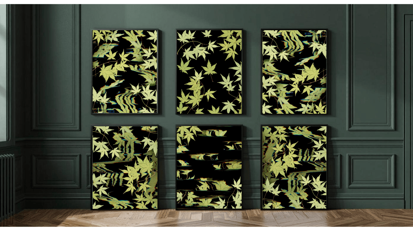 "It's just maple: The collectors six" Limited edition - Oldleafdesigns