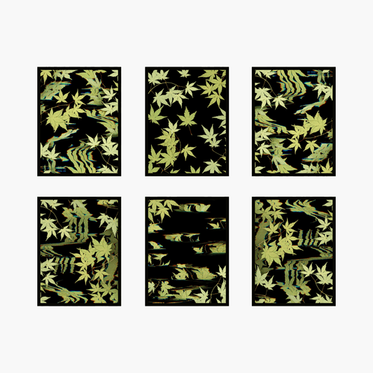 "It's just maple: The collectors six" Limited edition - Oldleafdesigns