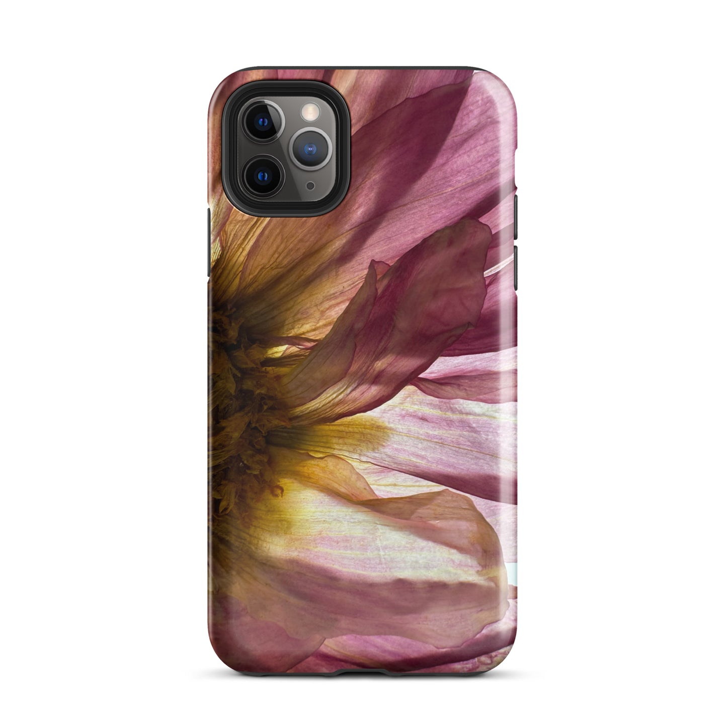 Pressed flower iphone 11 pro max glossy case by Old Leaf Designs featuring close up botanical artwork of a pink Dahlia