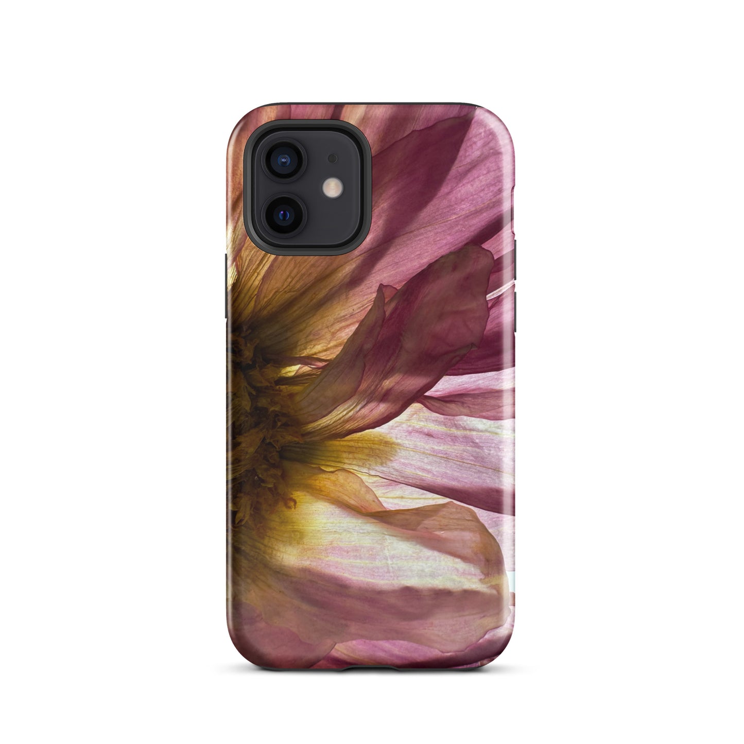 Pressed flower iphone 12 glossy case by Old Leaf Designs featuring close up botanical artwork of a pink Dahlia