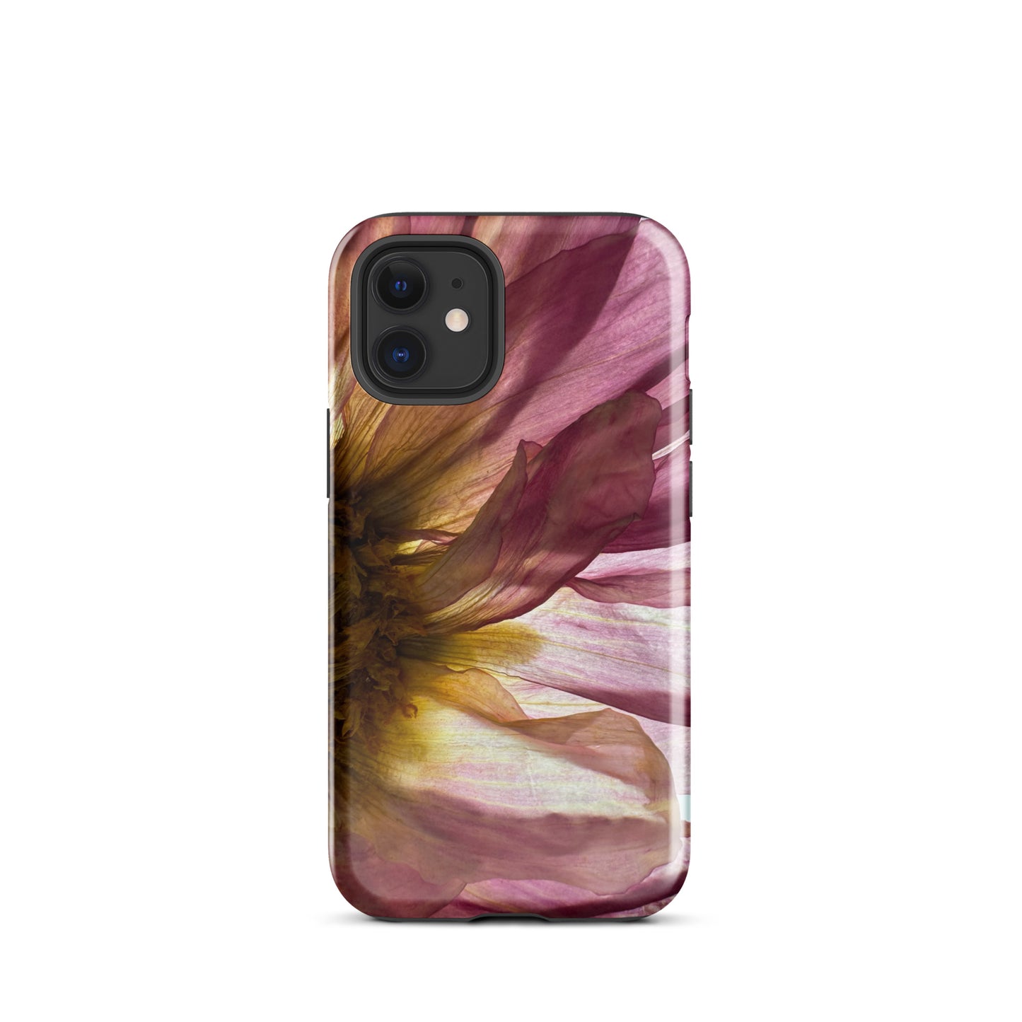 Pressed flower iphone 12 mini glossy case by Old Leaf Designs featuring close up botanical artwork of a pink Dahlia